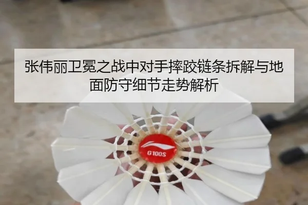 张伟丽卫冕之战中对手摔跤链条拆解与地面防守细节走势解析 | SPEEDSPORT